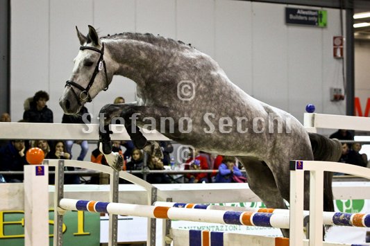 DUECENTO CAREZZE_MILANO_2010_SS3_1431.jpg